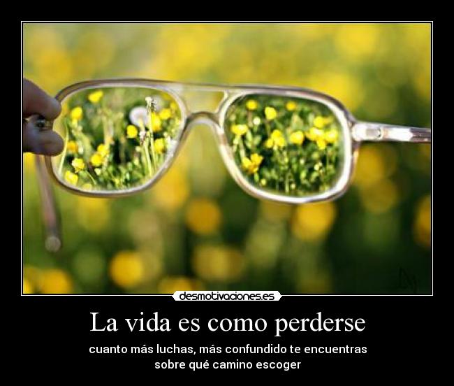 La vida es como perderse - cuanto más luchas, más confundido te encuentras
sobre qué camino escoger