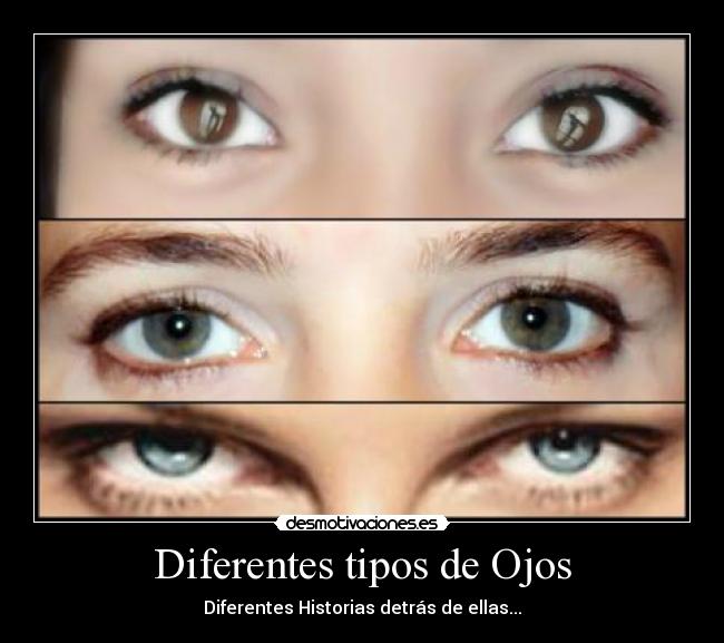 Diferentes tipos de Ojos -
