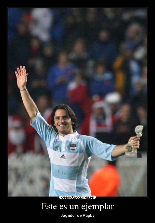 Este es un ejemplar - 