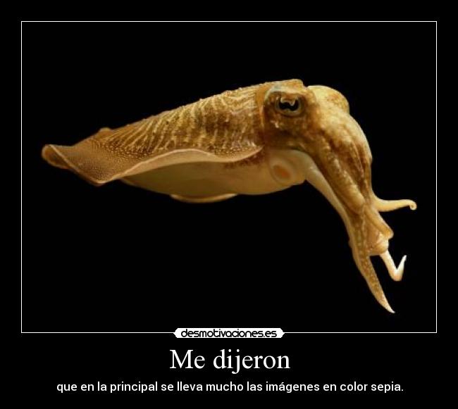 Me dijeron - que en la principal se lleva mucho las imágenes en color sepia.