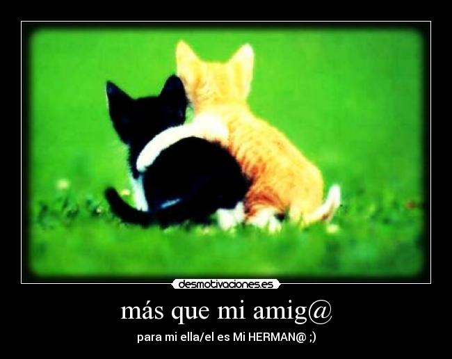 más que mi amig@ - para mi ella/el es Mi HERMAN@ ;)