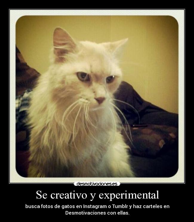 Se creativo y experimental - 