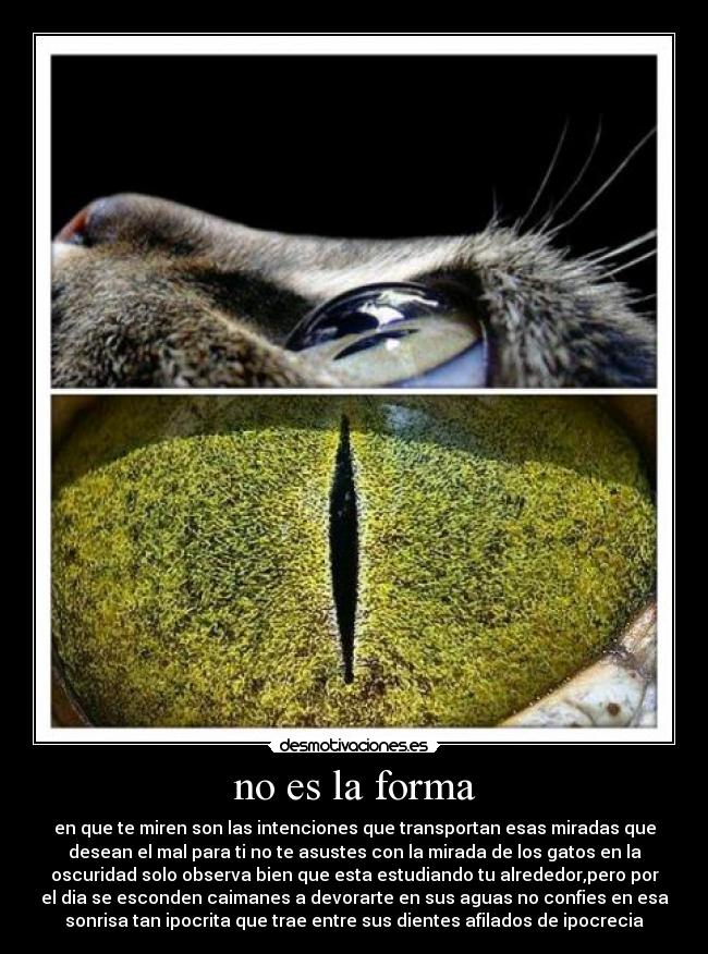 no es la forma -