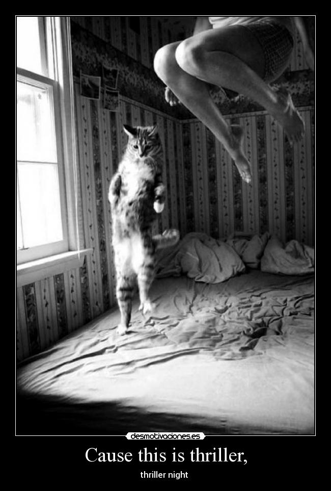 Cause this is thriller, -