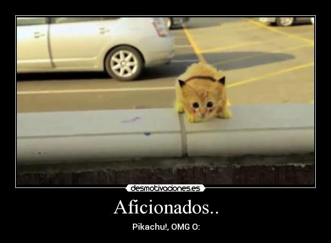 Aficionados.. -