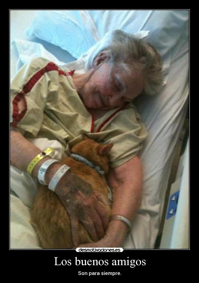 Los buenos amigos - Son para siempre.
