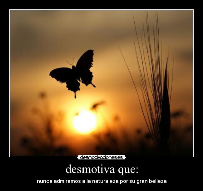desmotiva que: - nunca admiremos a la naturaleza por su gran belleza