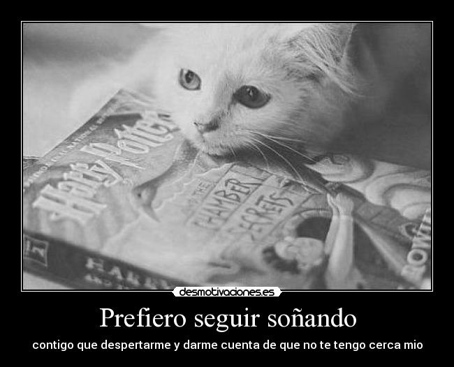 Prefiero seguir soñando - contigo que despertarme y darme cuenta de que no te tengo cerca mio