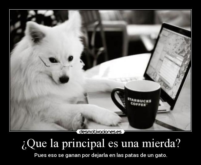 ¿Que la principal es una mierda? -