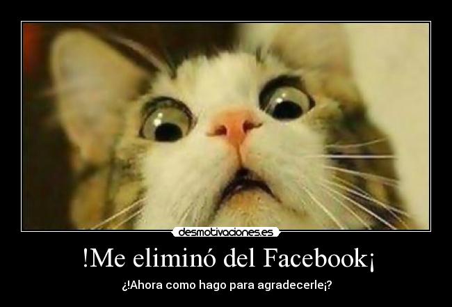 !Me eliminó del Facebook¡ - ¿!Ahora como hago para agradecerle¡?