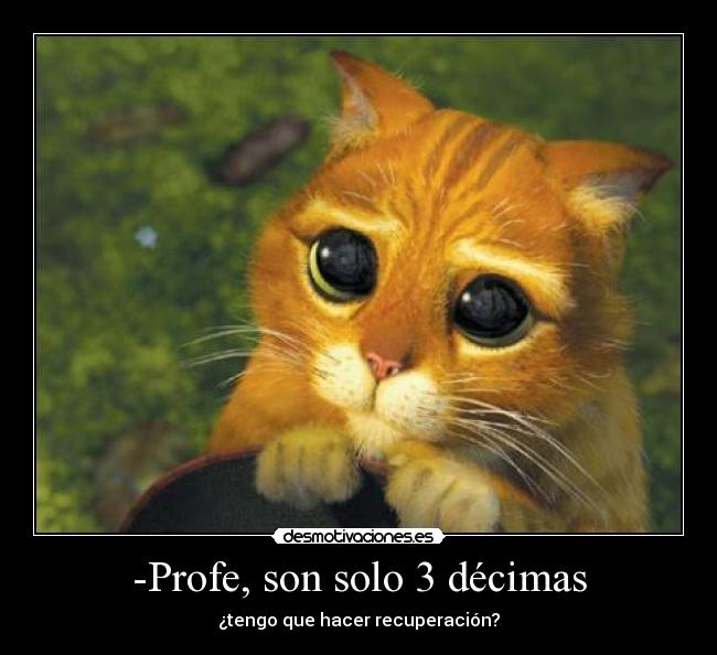 -Profe, son solo 3 décimas - 