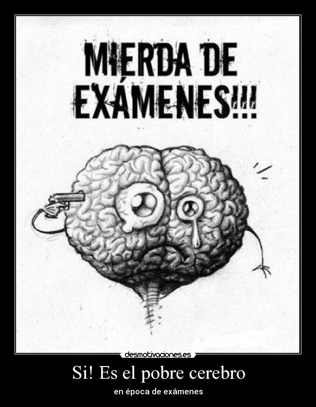 Si! Es el pobre cerebro -