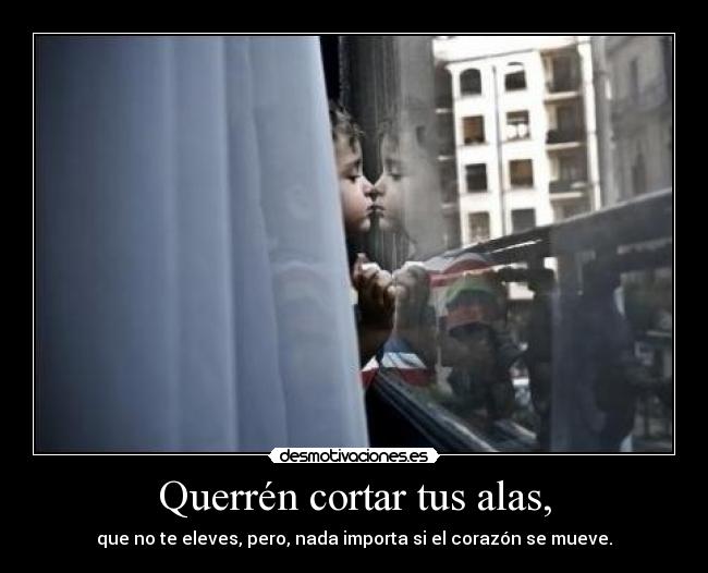 Querrén cortar tus alas, - 