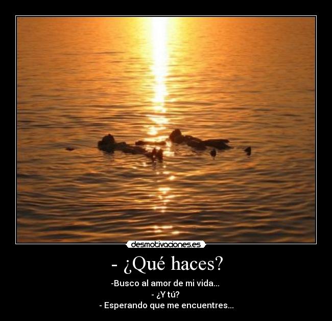 - ¿Qué haces? - -Busco al amor de mi vida... 
- ¿Y tú? 
- Esperando que me encuentres...