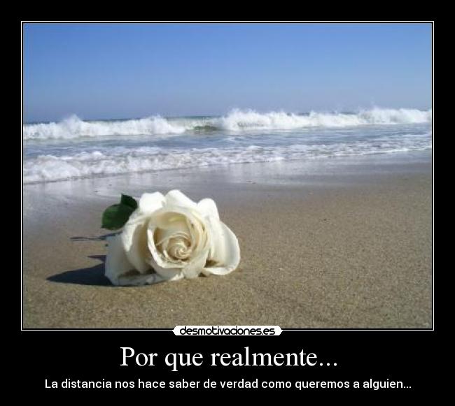 Por que realmente... -