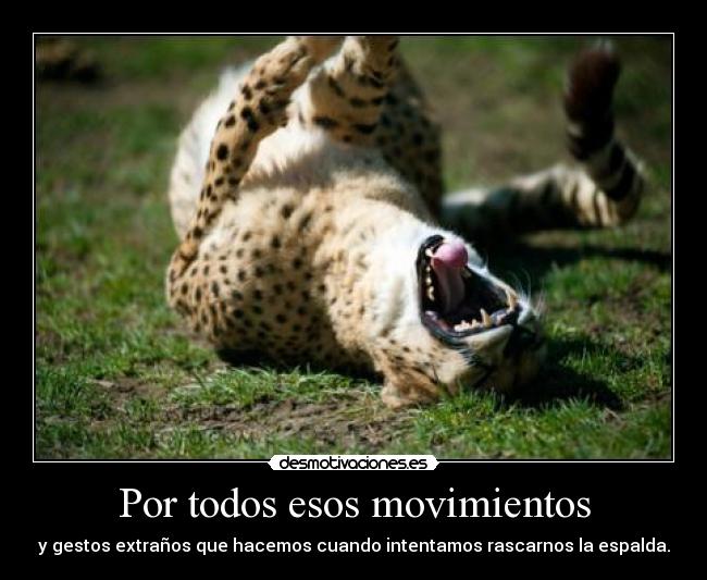 carteles lacuna youngwildfree you wanna know how many times tore myself apart cuz you are not here desmotivaciones