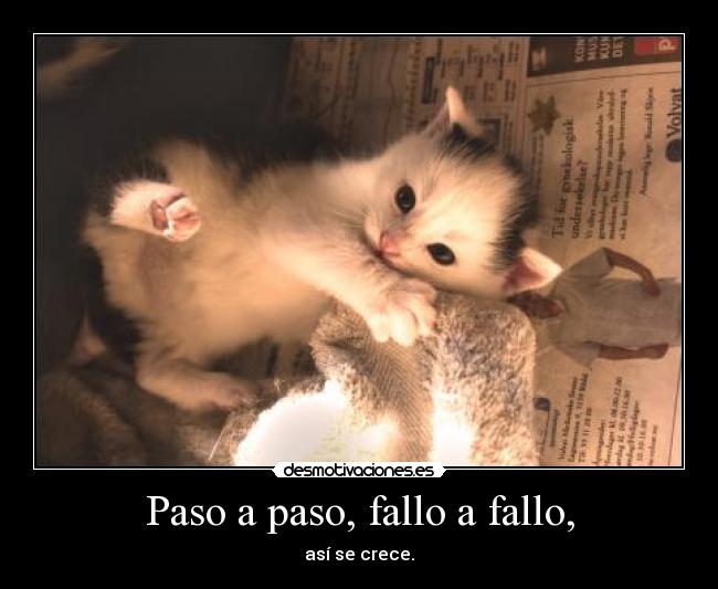 Paso a paso, fallo a fallo, - así se crece.