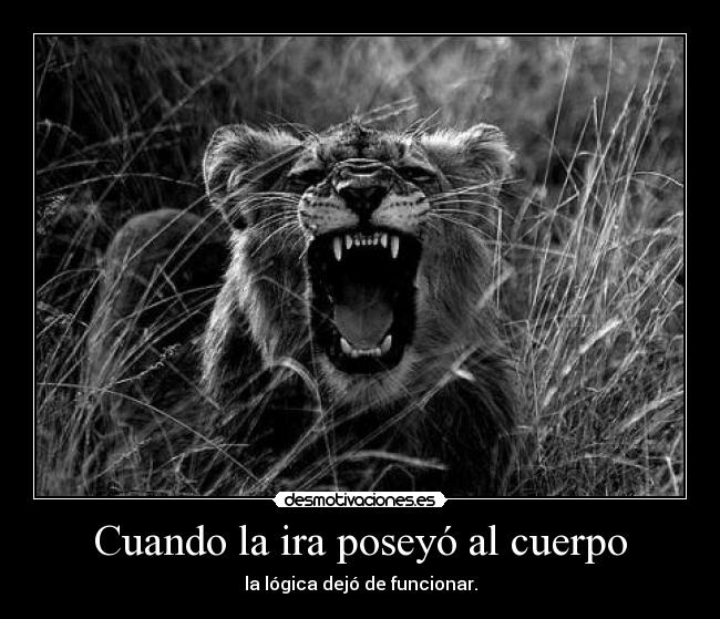 Cuando la ira poseyó al cuerpo - la lógica dejó de funcionar.