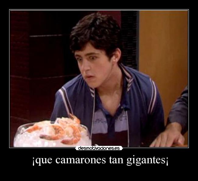 ¡que camarones tan gigantes¡ - 