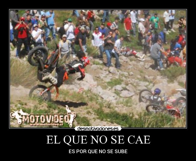 carteles cuco1 desmotivaciones