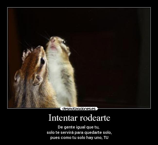 Intentar rodearte - De gente igual que tu, 
solo te servirá para quedarte solo,
pues como tu solo hay uno, TU