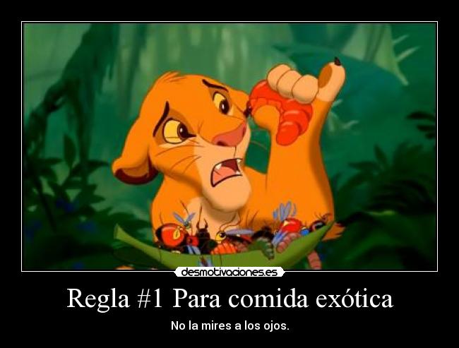 carteles comida gato intruders crazyclub clanreyleon xddd quien hecho mama ama demaciado desmotivaciones