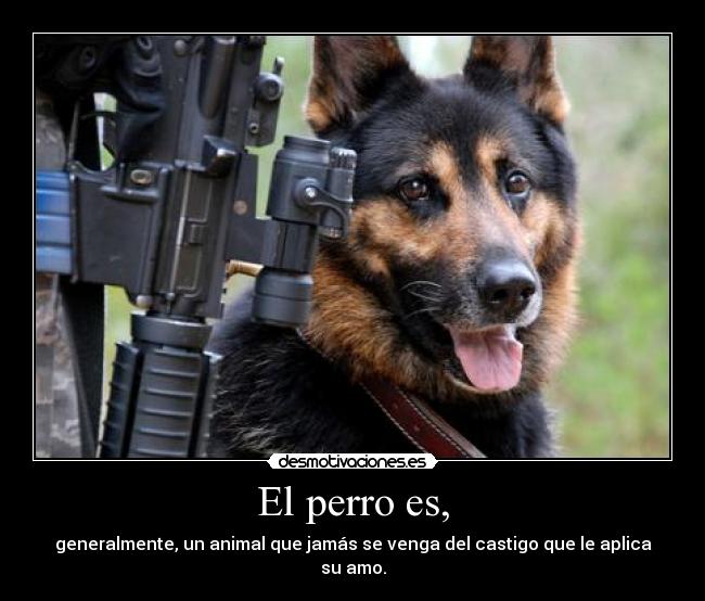 El perro es, -