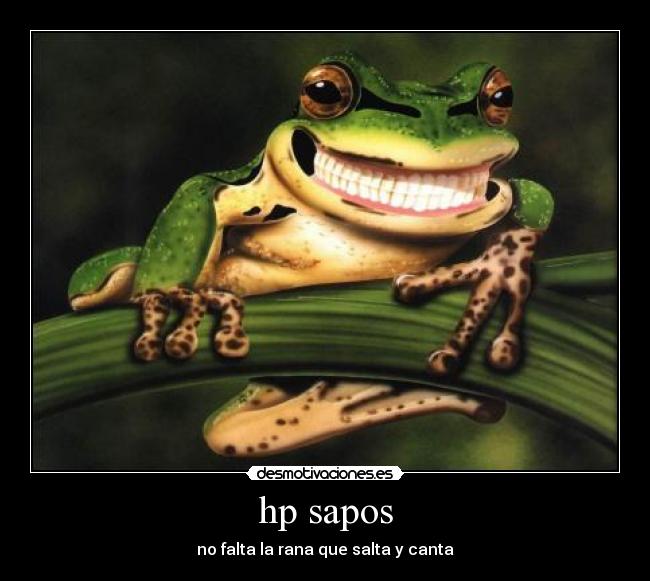 hp sapos - no falta la rana que salta y canta