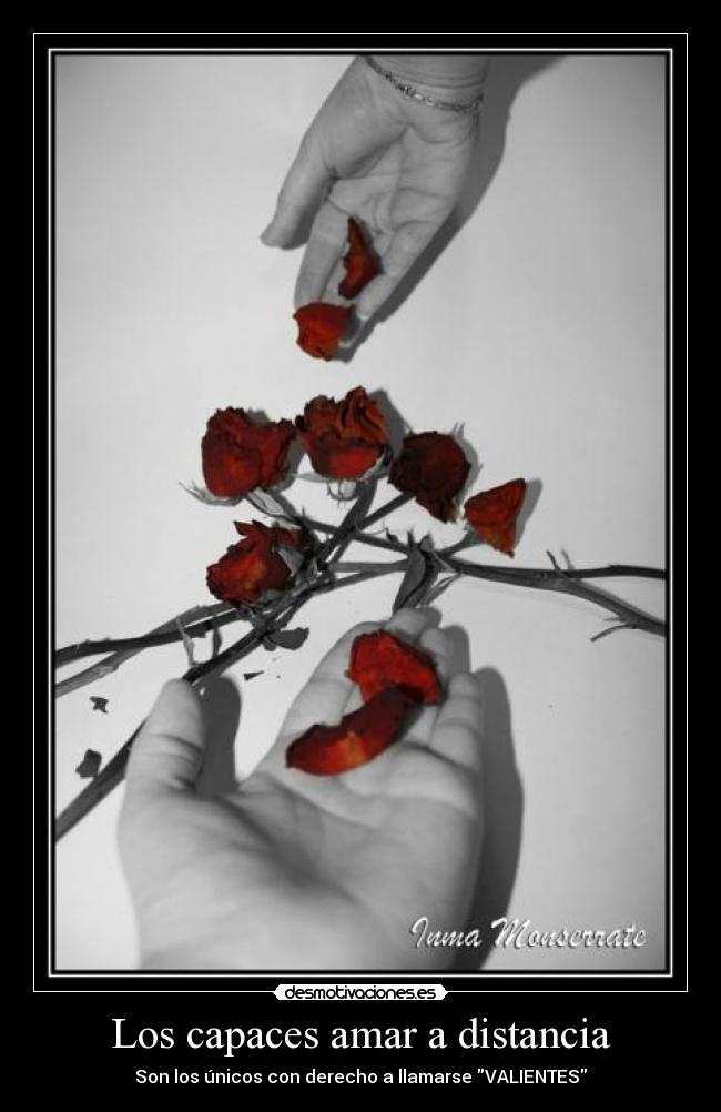 Los capaces amar a distancia - Son los únicos con derecho a llamarse VALIENTES
