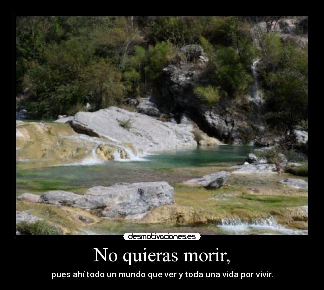 No quieras morir, -