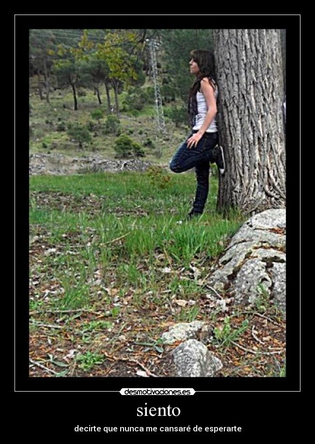 siento - decirte que nunca me cansaré de esperarte