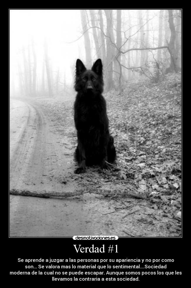 Verdad #1 - Se aprende a juzgar a las personas por su apariencia y no por como
son... Se valora mas lo material que lo sentimental....Sociedad
moderna de la cual no se puede escapar. Aunque somos pocos los que les
llevamos la contraria a esta sociedad.