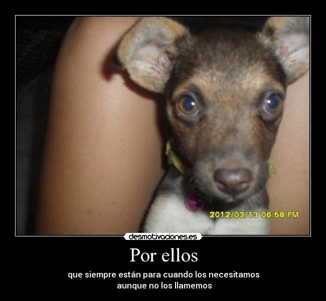 Por ellos - que siempre están para cuando los necesitamos
aunque no los llamemos