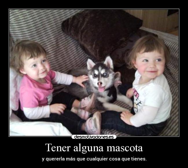 Tener alguna mascota -