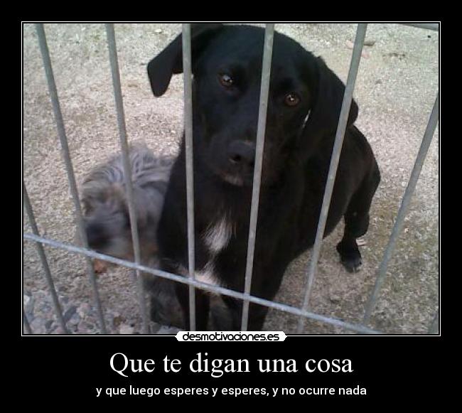 Que te digan una cosa - y que luego esperes y esperes, y no ocurre nada