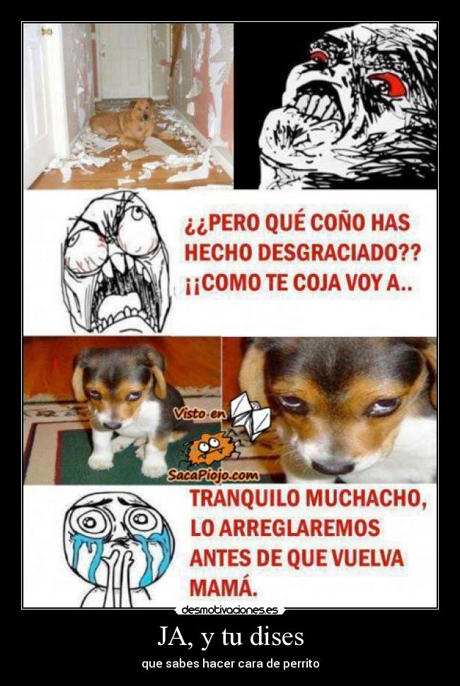 JA, y tu dises - que sabes hacer cara de perrito