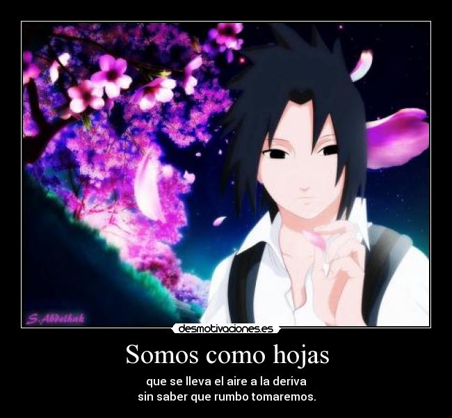 Somos como hojas - que se lleva el aire a la deriva
sin saber que rumbo tomaremos.