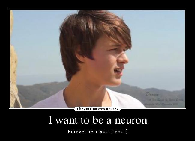 carteles nohesotillo desmotivaciones