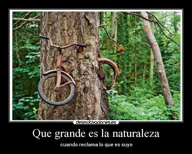 carteles naturaleza eternitymoon arbol bici naturaleza desmotivaciones