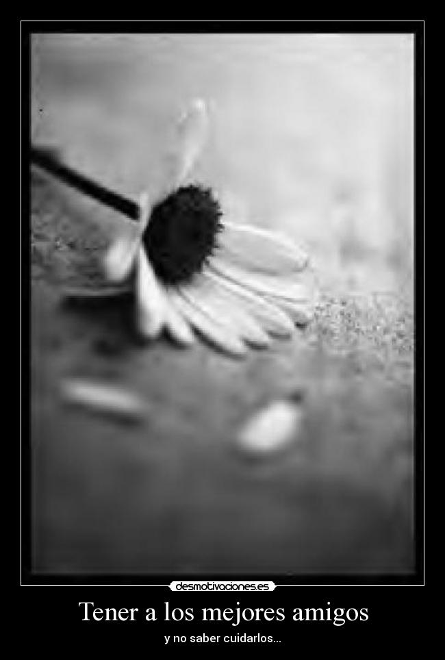 Tener a los mejores amigos - 