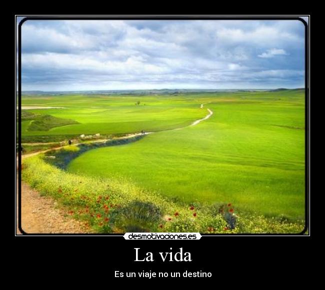 La vida -