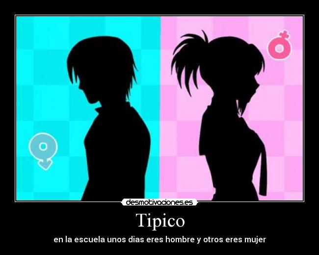 Tipico - 