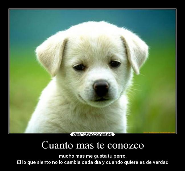 carteles toby esto por desmotivaciones