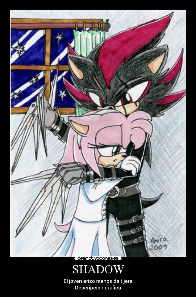 SHADOW - El joven erizo manos de tijera
Descripcion grafica
