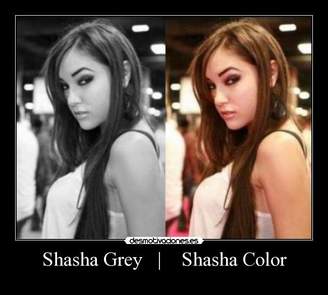 Shasha Grey | Shasha Color -