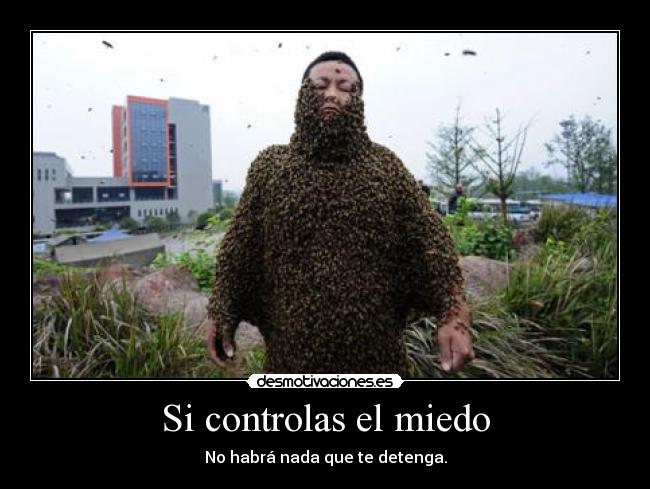 Si controlas el miedo - No habrá nada que te detenga.
