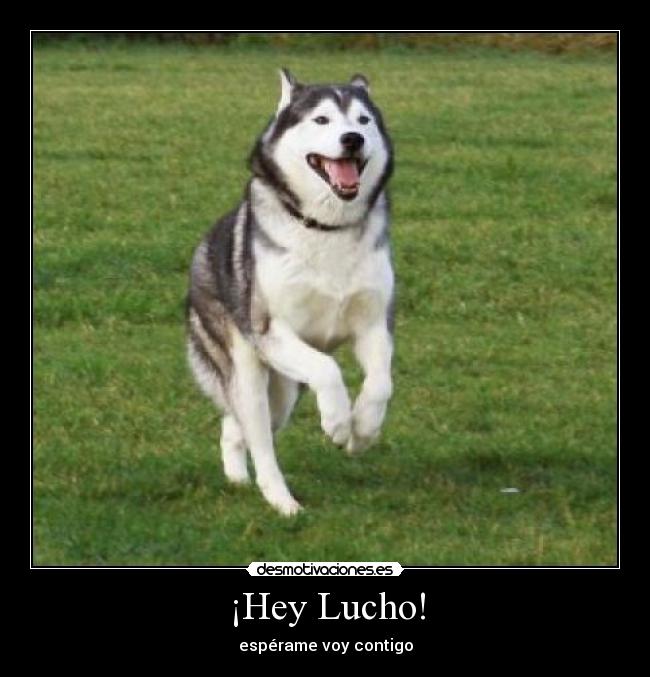 ¡Hey Lucho! - espérame voy contigo