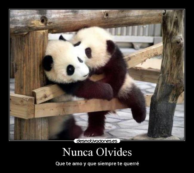 carteles franki borregoway presents panditas queriendose muerte justin los wachiturros chupala desmotivaciones