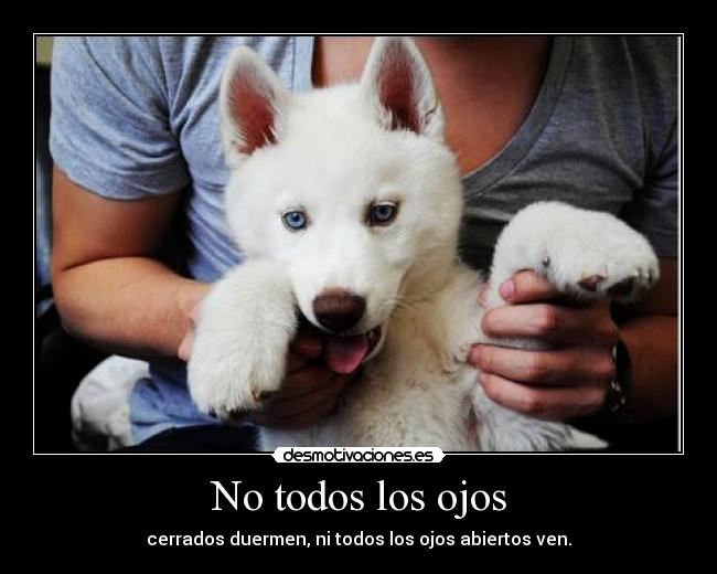 No todos los ojos -