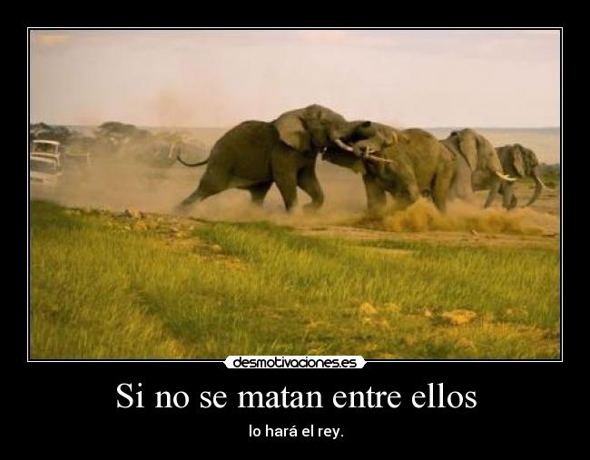 Si no se matan entre ellos -